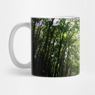 Tree Crowns Jungle / Swiss Artwork Photography Mug